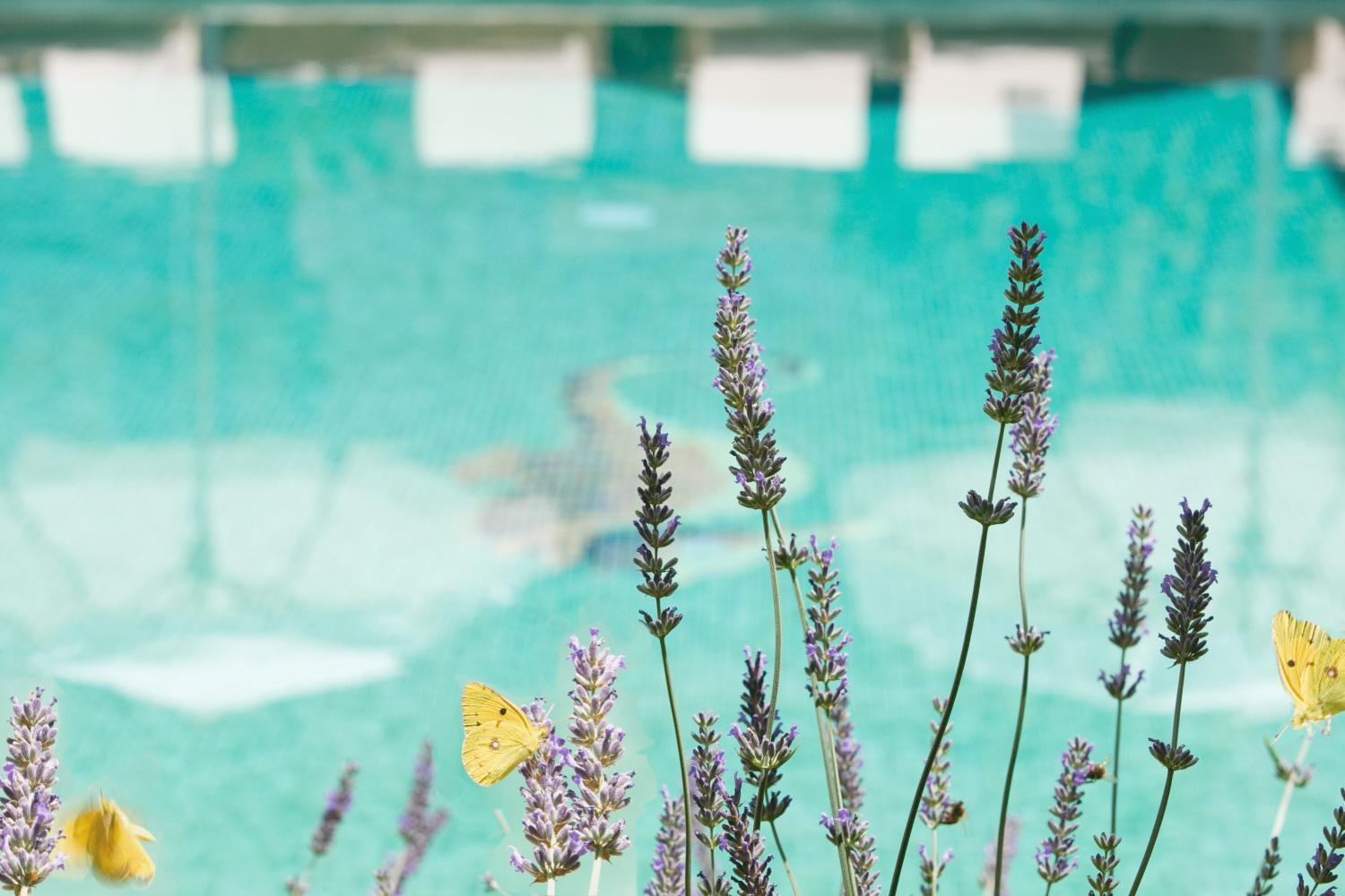 Hotel Apartament Sa Tanqueta De Fornalutx - Adults Only מראה חיצוני תמונה
